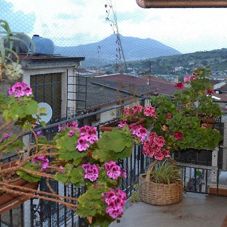 B&B Jolly House Bolognetta 外观 照片