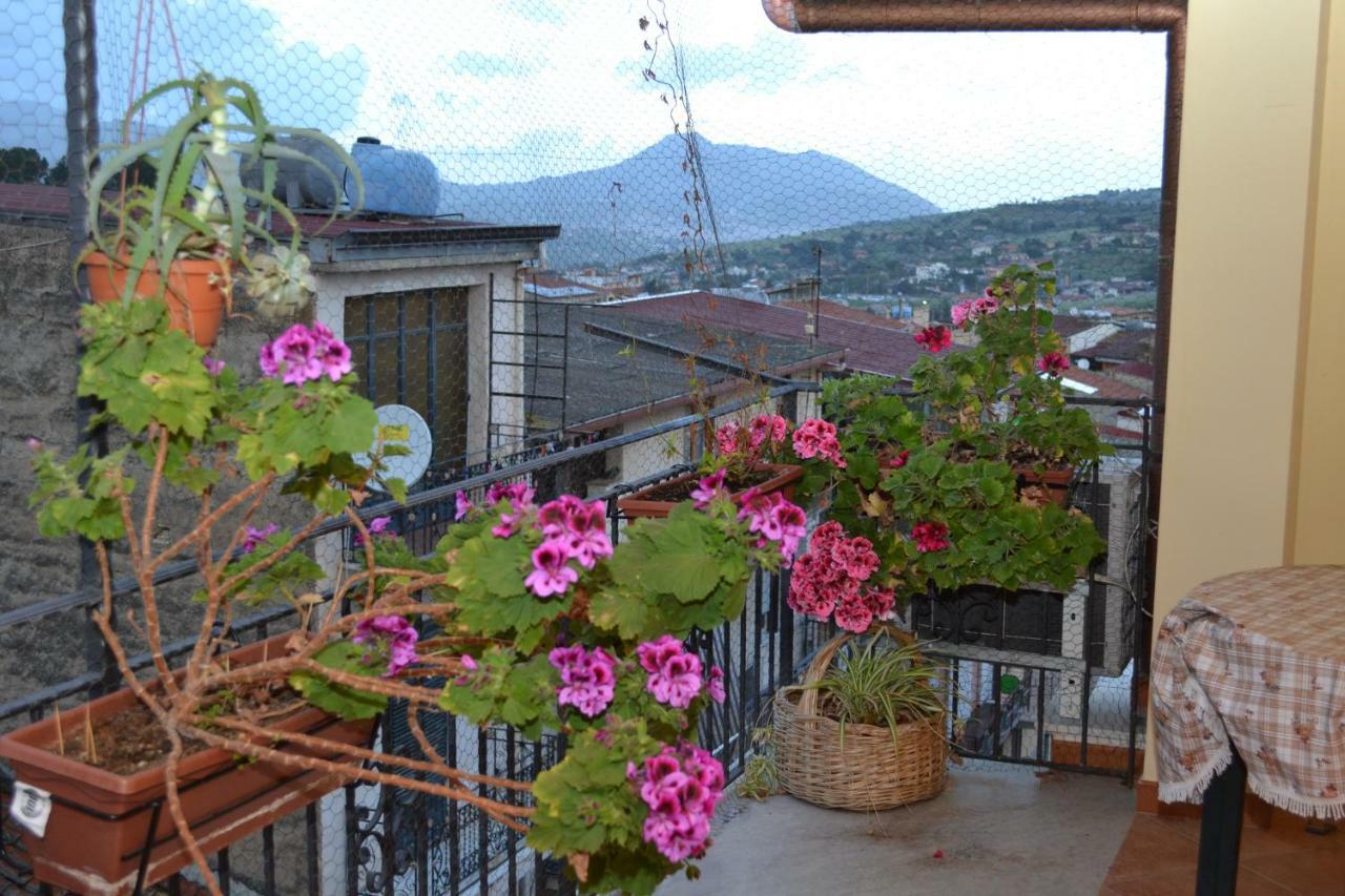 B&B Jolly House Bolognetta 外观 照片