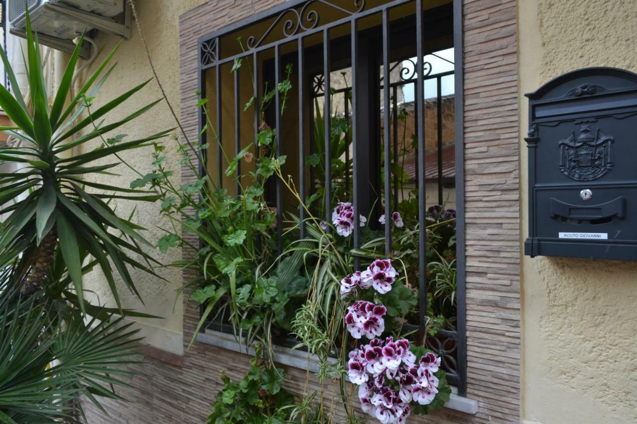 B&B Jolly House Bolognetta 外观 照片